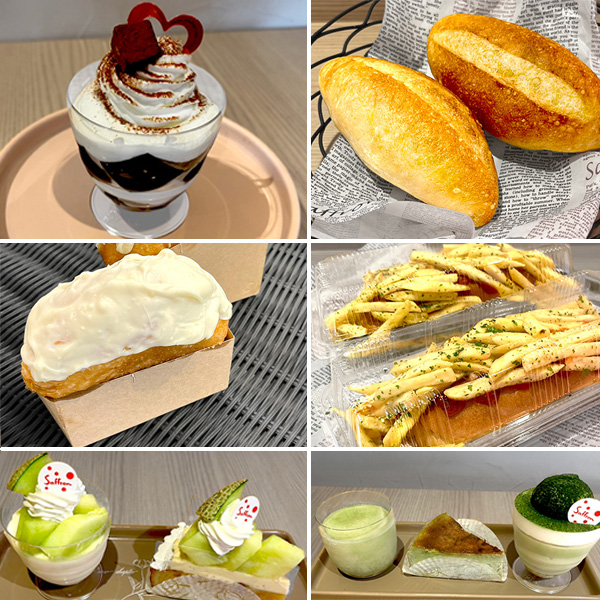 6月の新装品