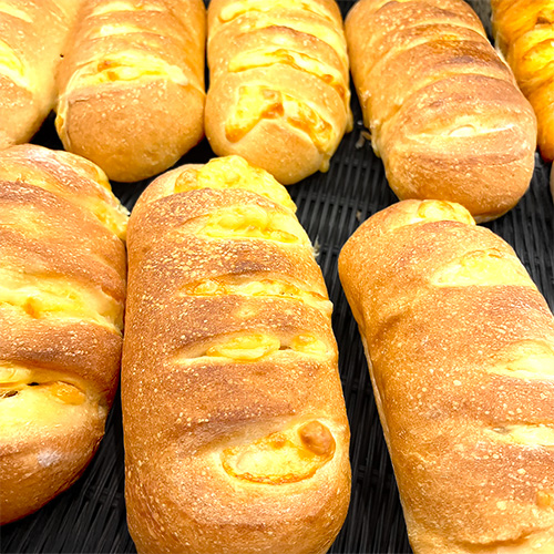 今月のおすすめ