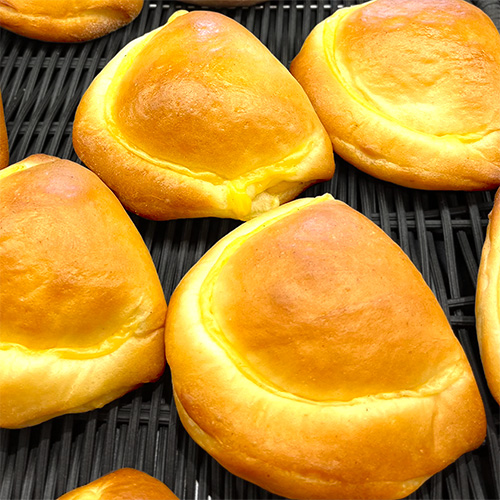 今月のおすすめ