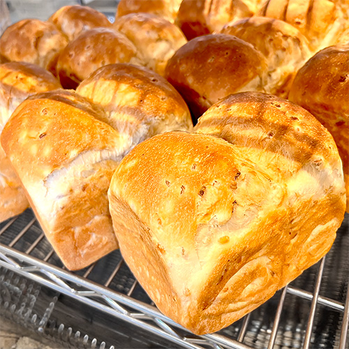 今月のおすすめ