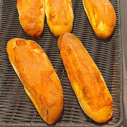 今月のおすすめ