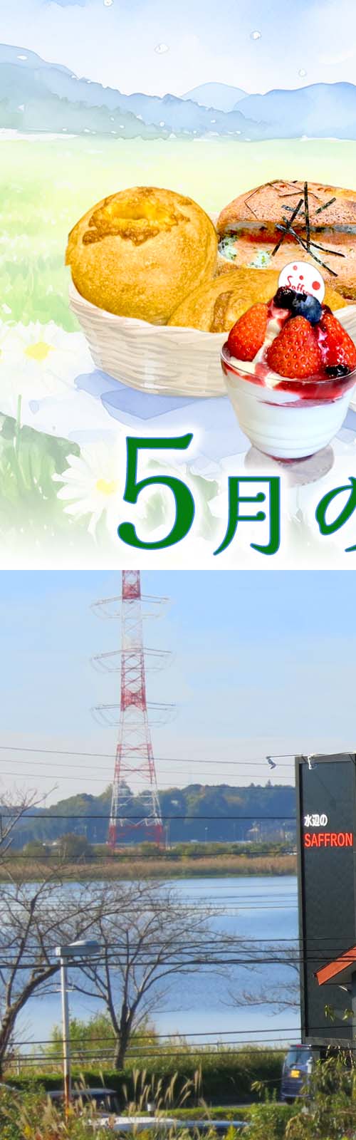 水辺のサフラン