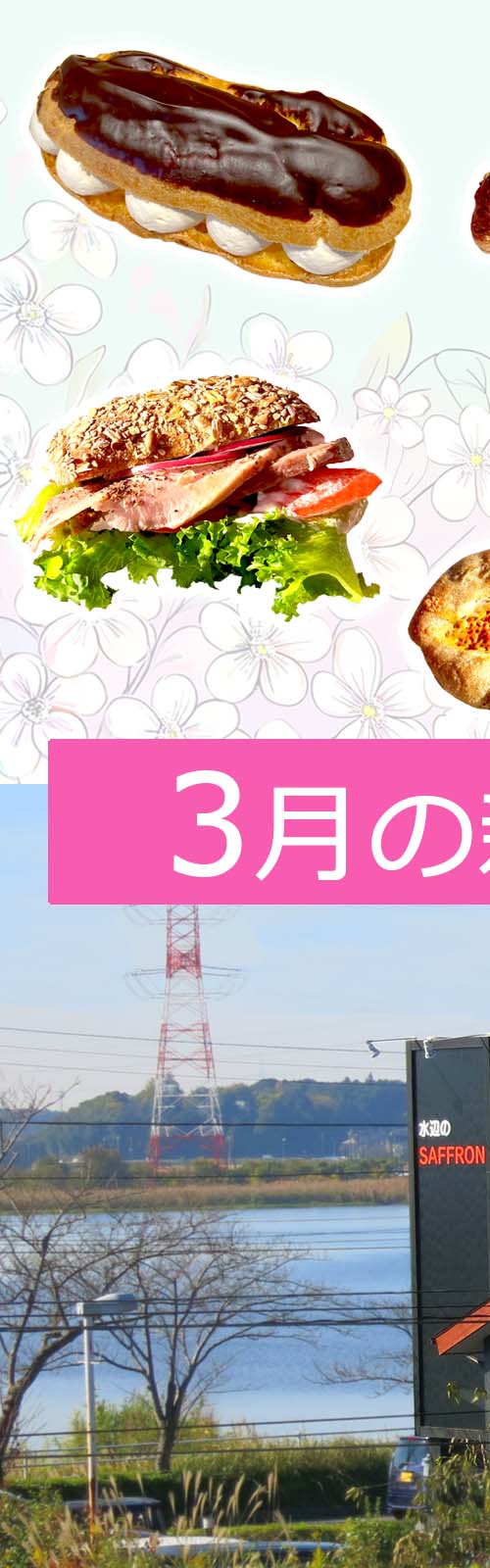 水辺のサフラン