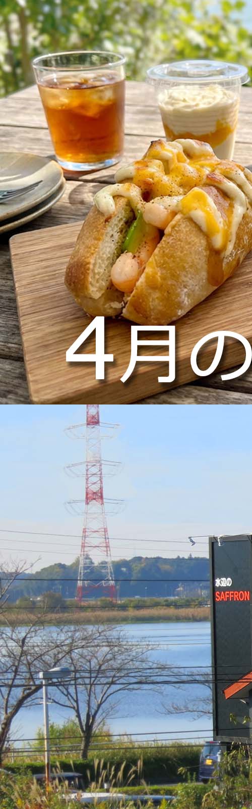 水辺のサフラン