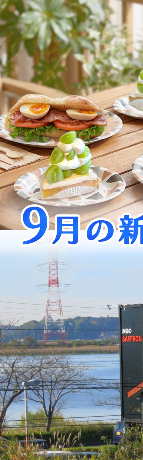 水辺のサフラン