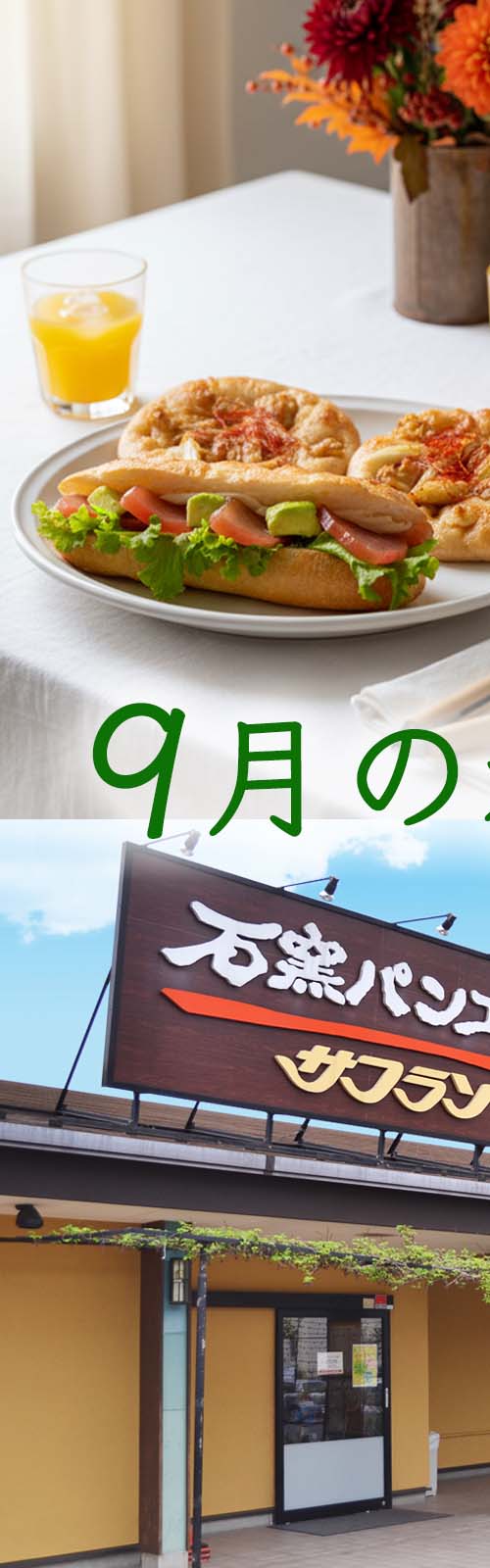 お店とパン
