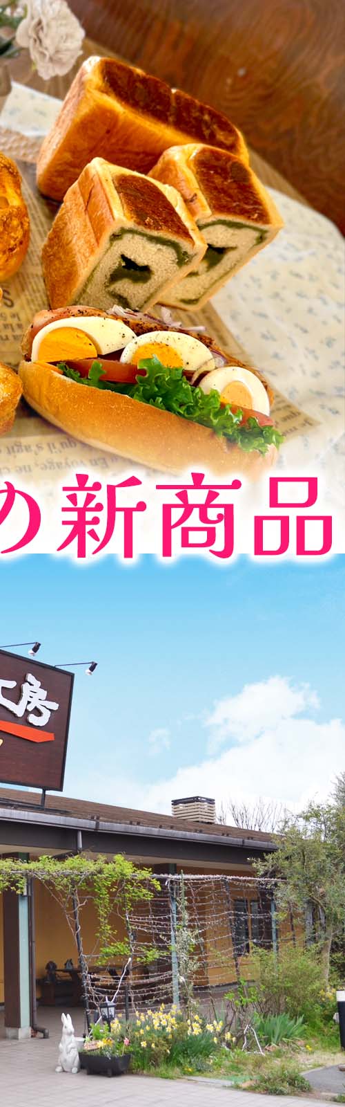 お店とパン