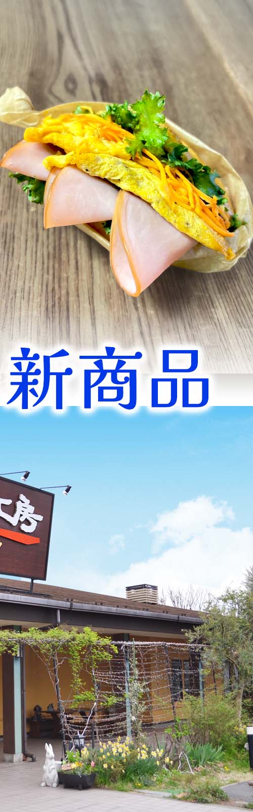 お店とパン