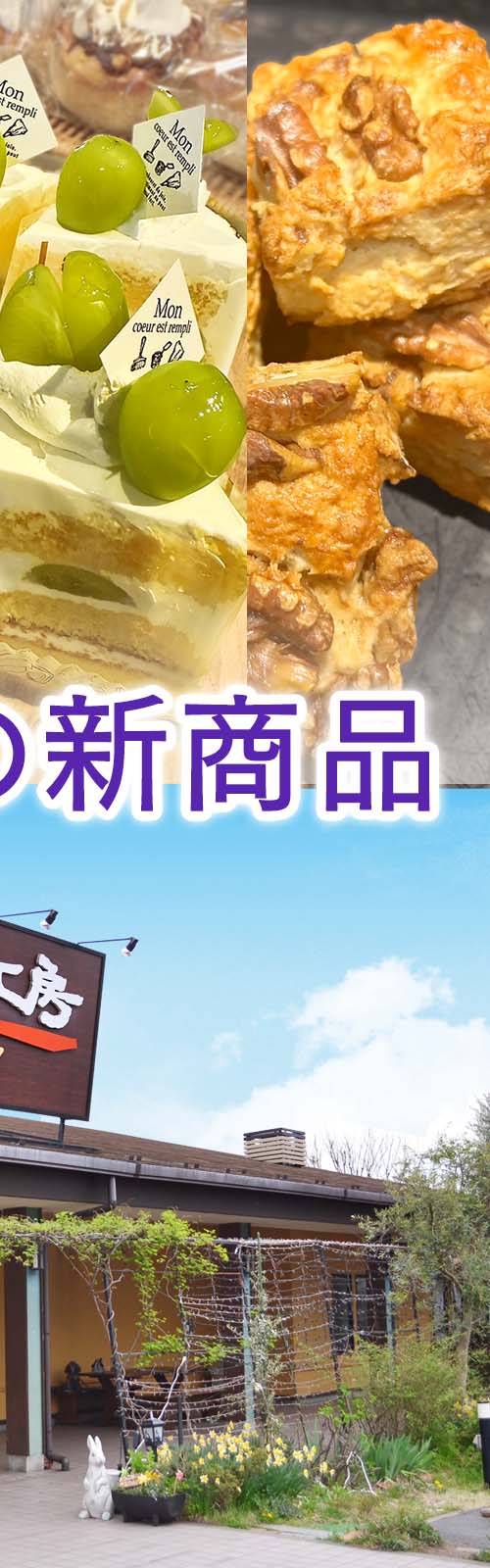 お店とパン