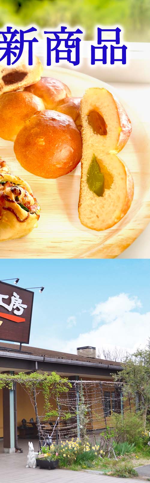 お店とパン