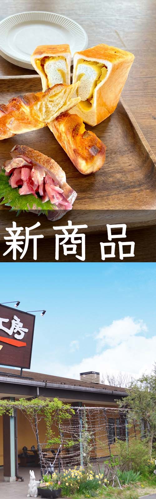 お店とパン