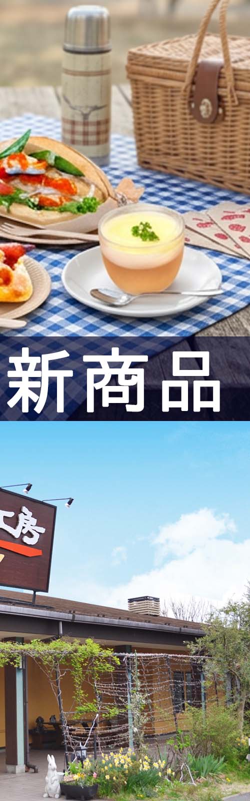 お店とパン