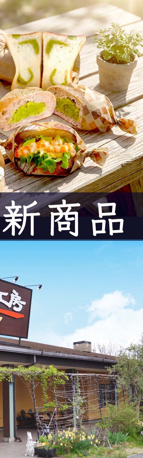 お店とパン
