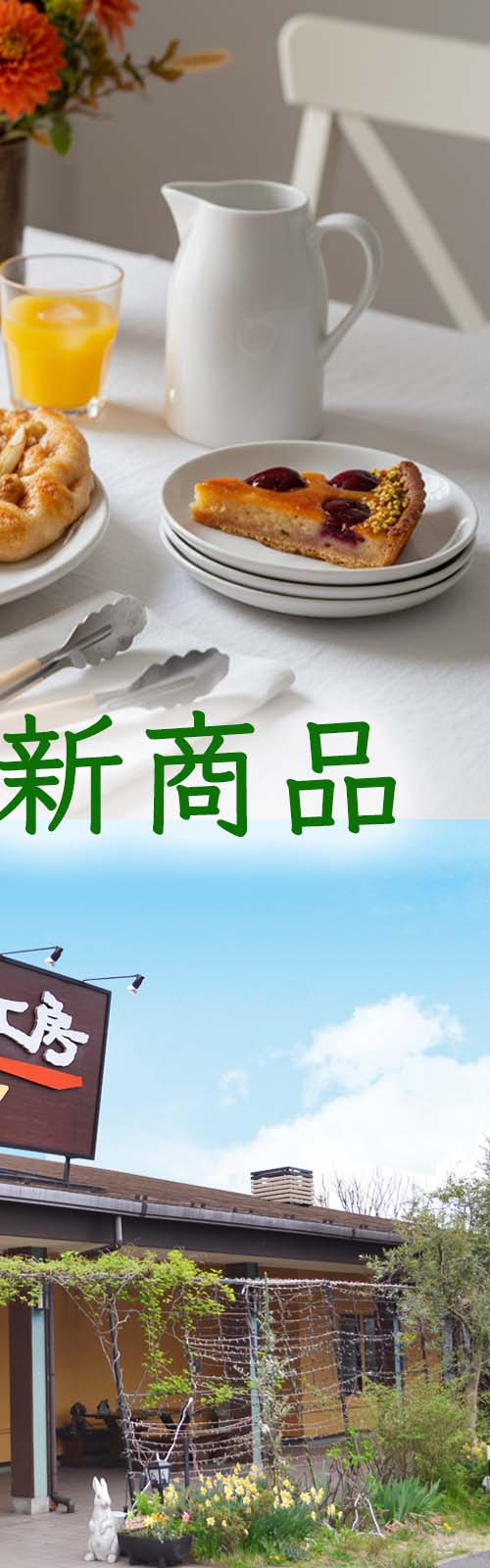 お店とパン