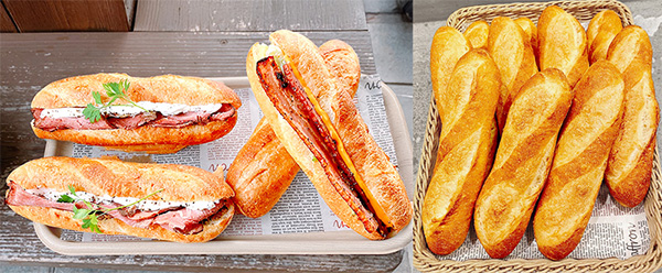 2025年10月のおすすめ