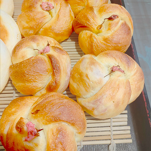 さくらベーグル