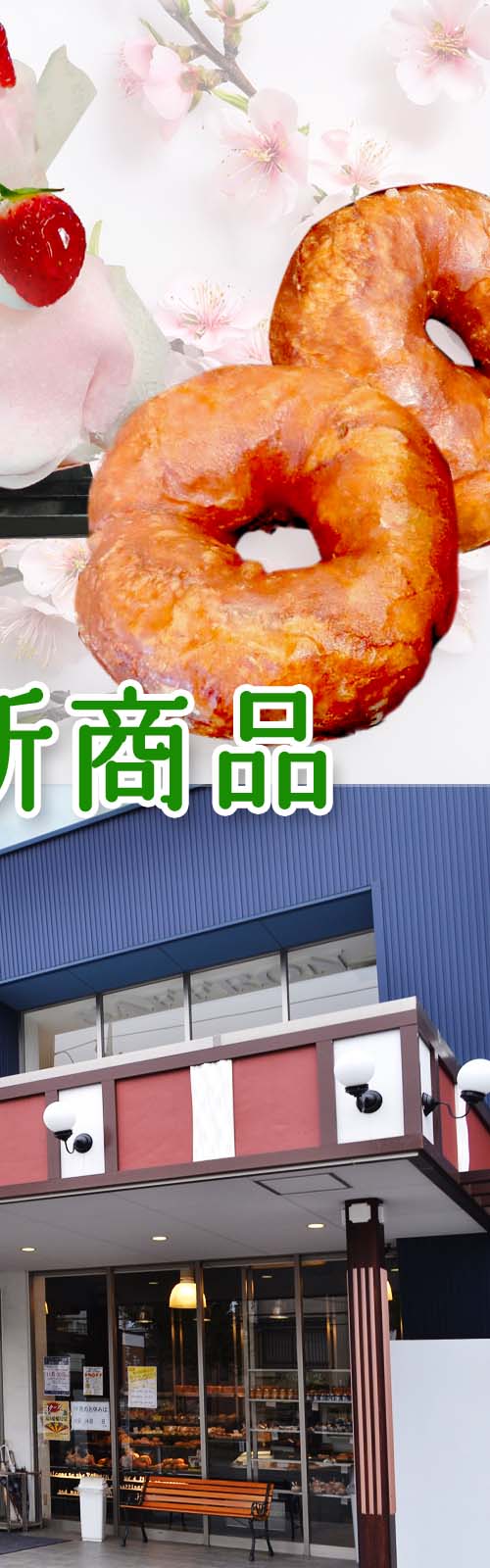お店とパン