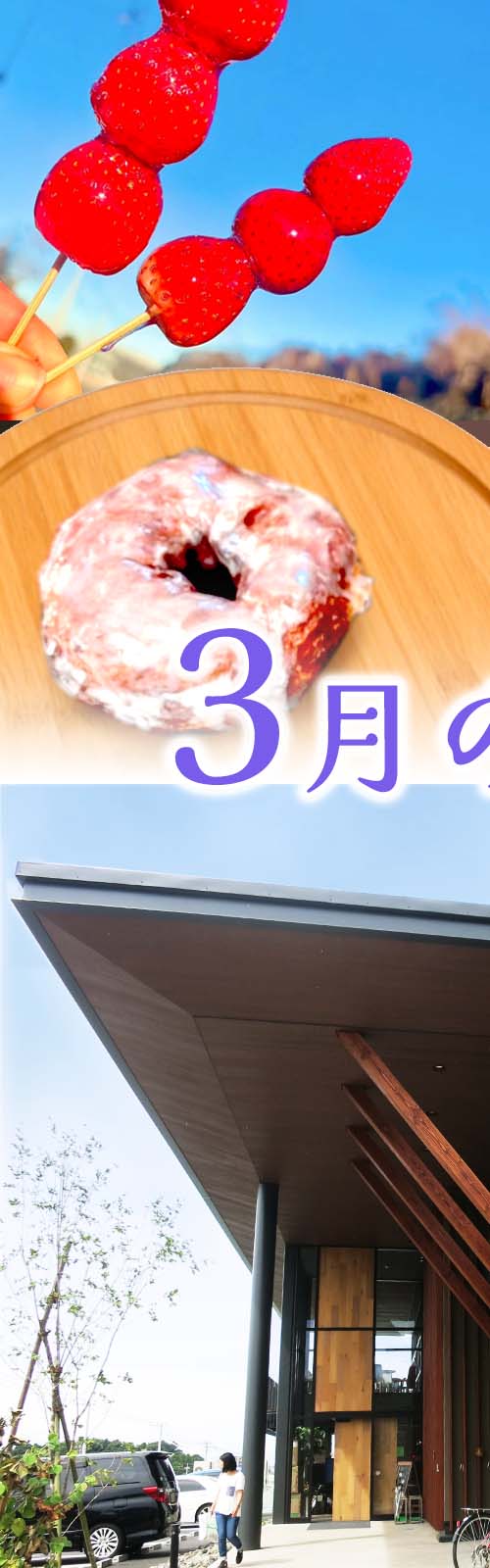 お店とパン