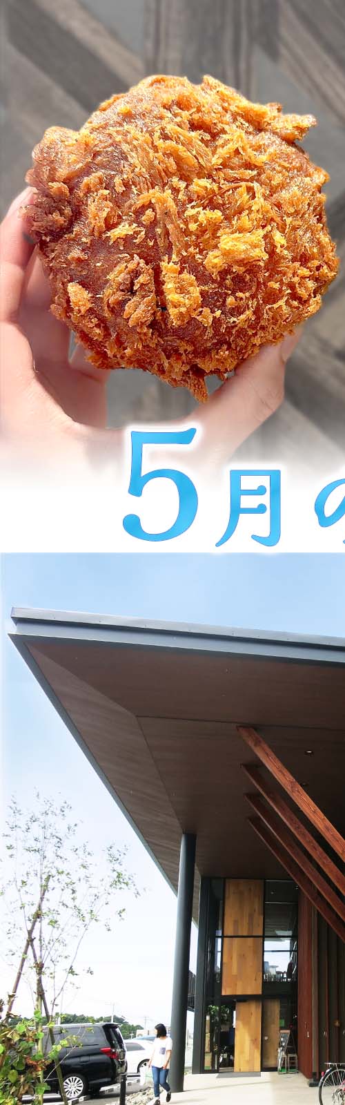 お店とパン