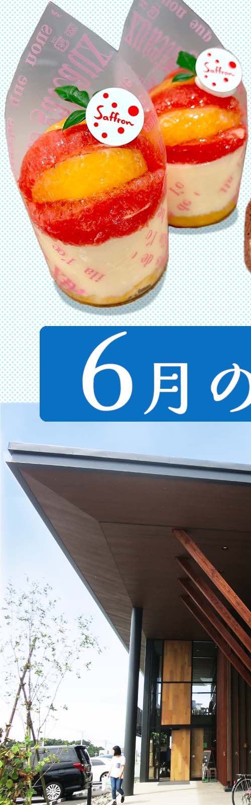 お店とパン