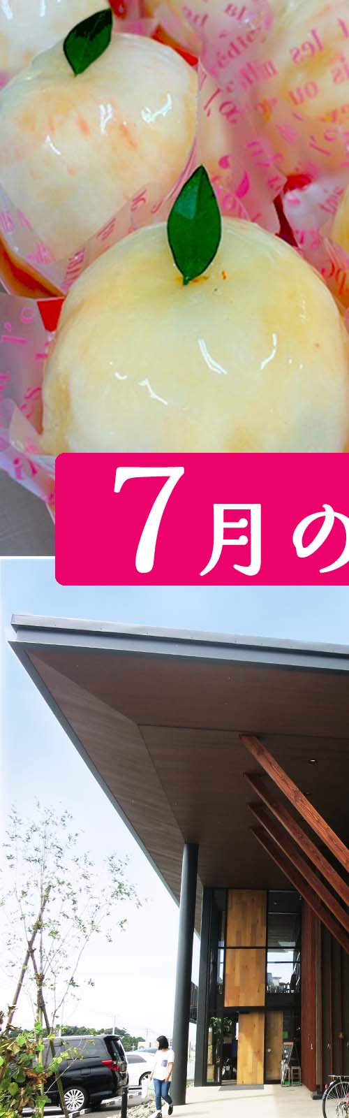 お店とパン