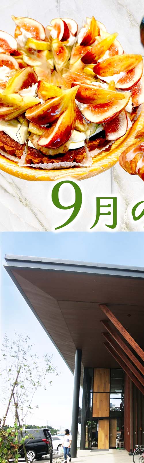 お店とパン