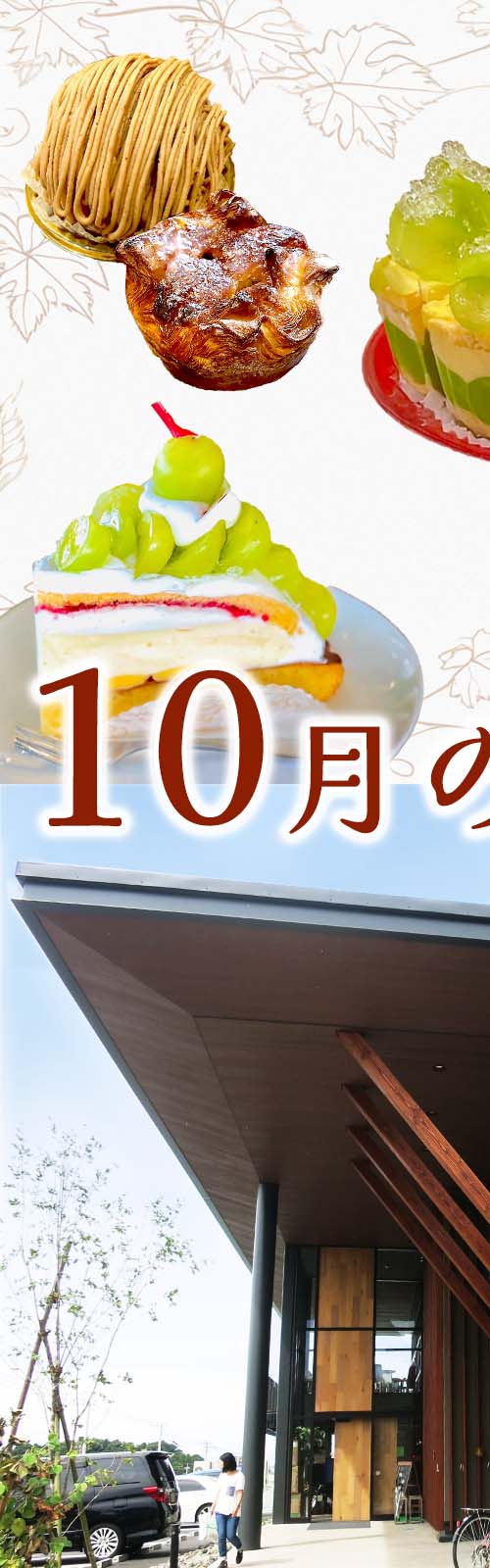 お店とパン