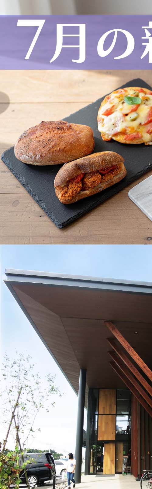 お店とパン