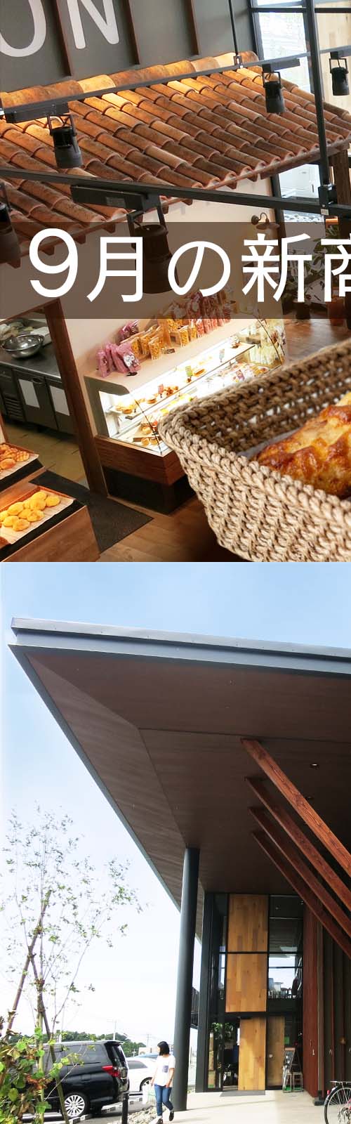 お店とパン