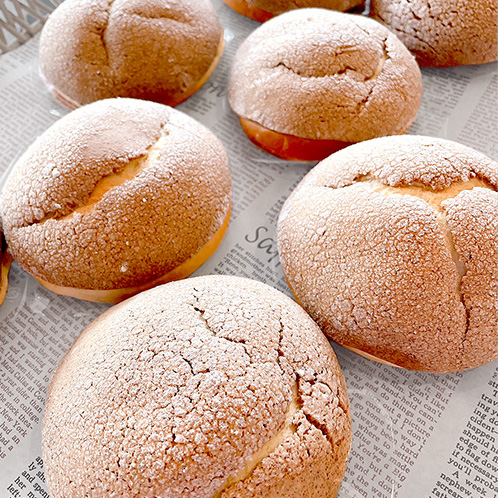 今月のおすすめ