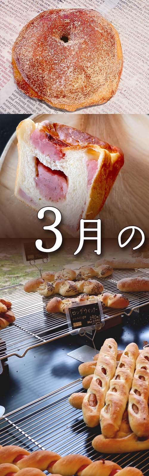 お店とパン