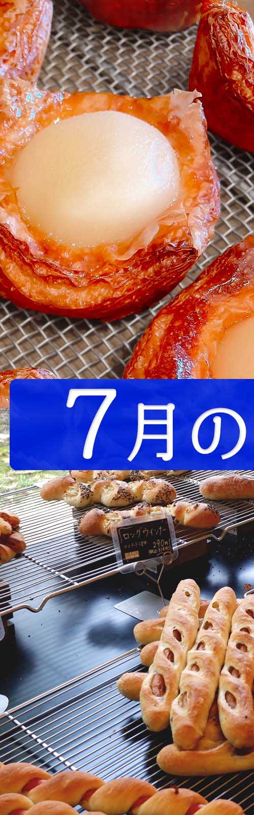 お店とパン