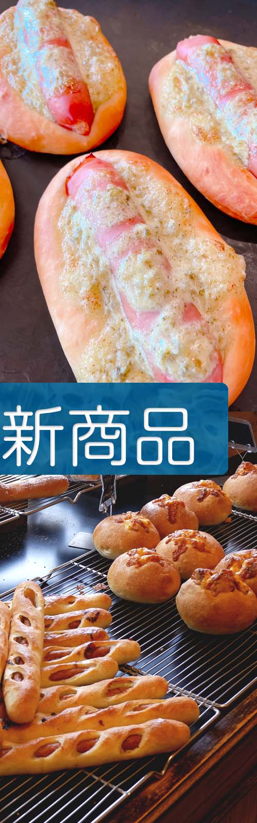 お店とパン