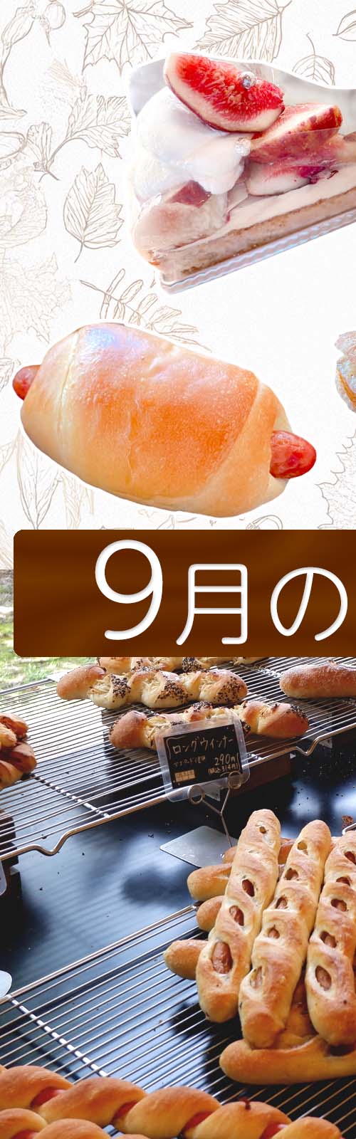 お店とパン