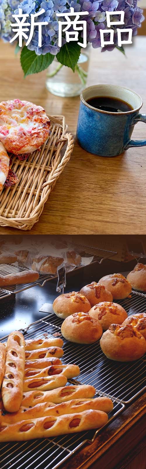 お店とパン