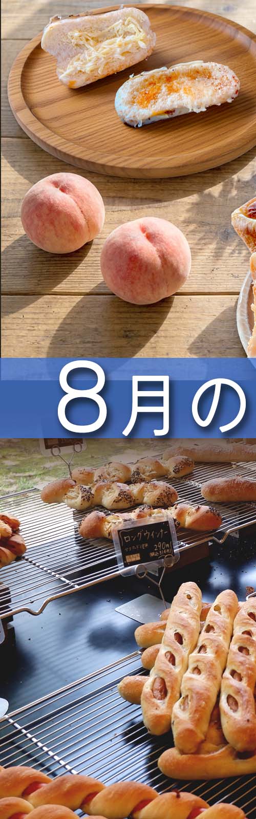 お店とパン