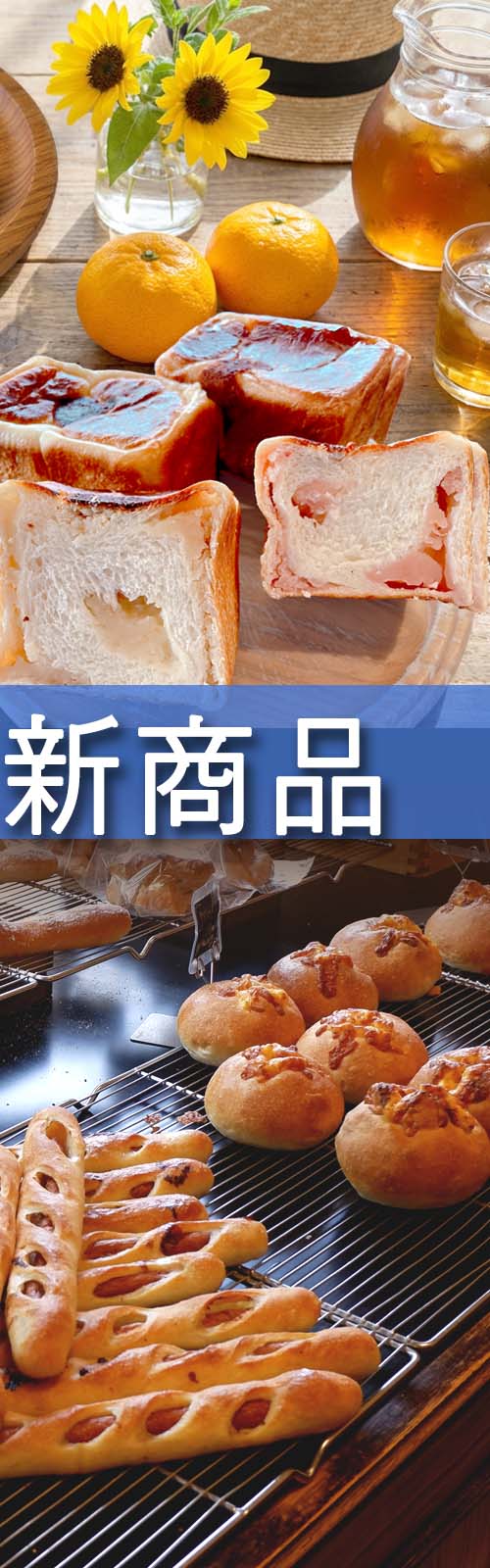 お店とパン