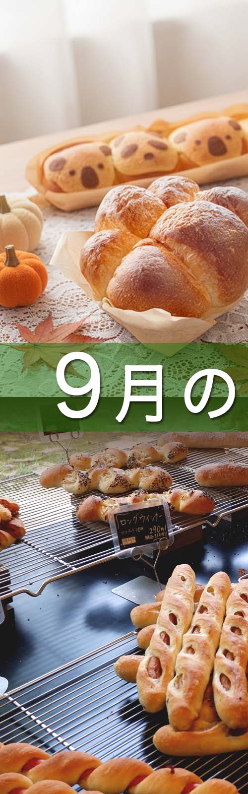 お店とパン