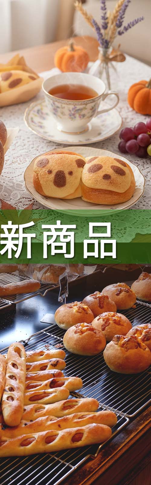 お店とパン