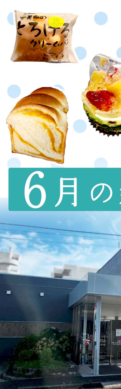 お店とパン