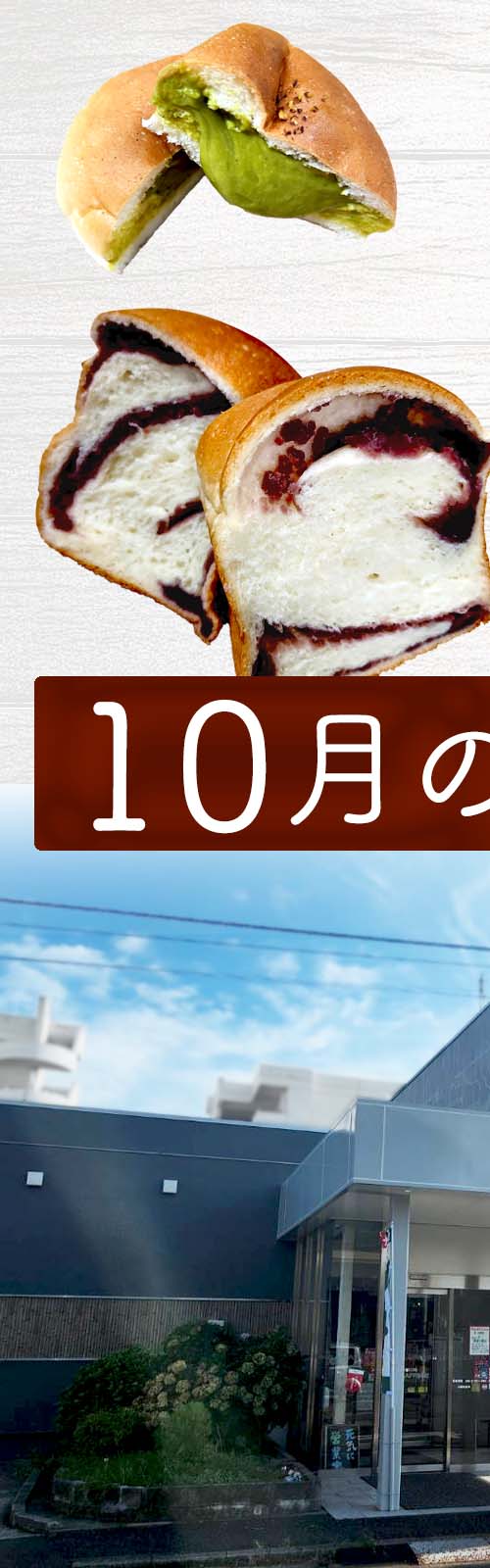 お店とパン