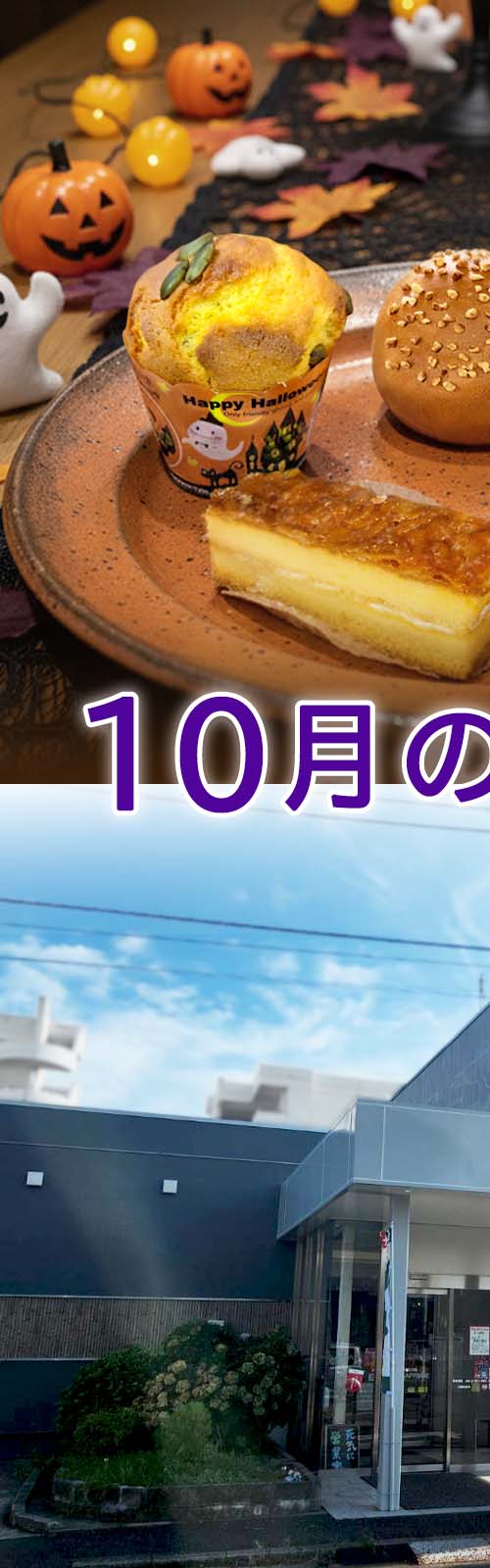お店とパン