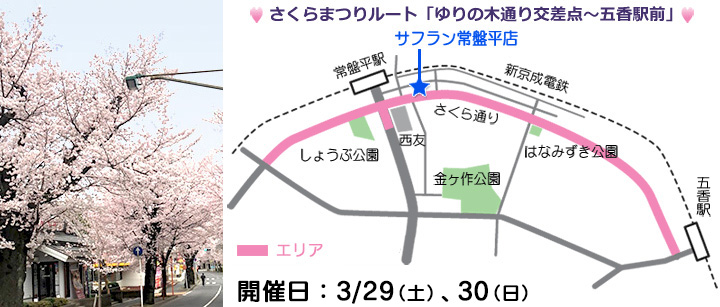 常盤平桜まつり
