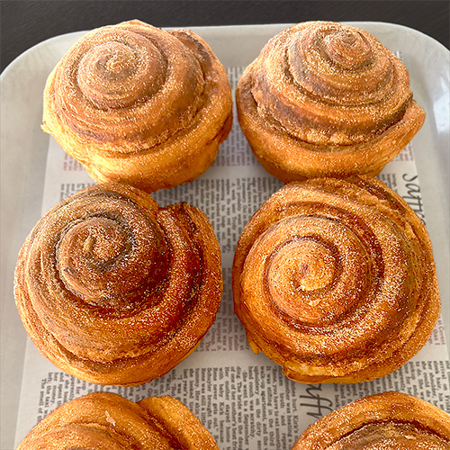 2026年2月の新商品