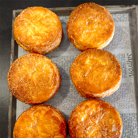 2026年2月の新商品