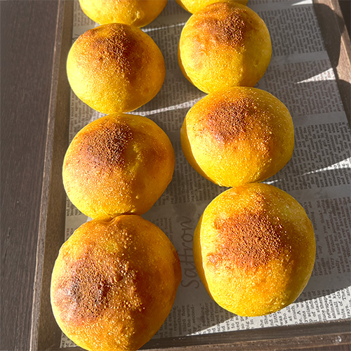 2026年3月の新商品