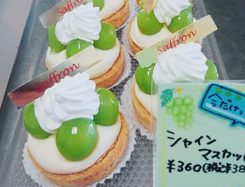9月のおすすめ